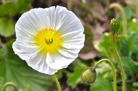 8570248595_5976538d7e_z